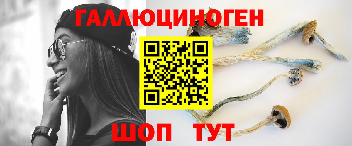 Галлюциногенные грибы GOLDEN TEACHER  Псилоцибиновые грибы прущие грибы  где можно купить наркотик  Удомля  Вход с VPN 